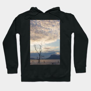 Dead tree in muddy beach Hoodie